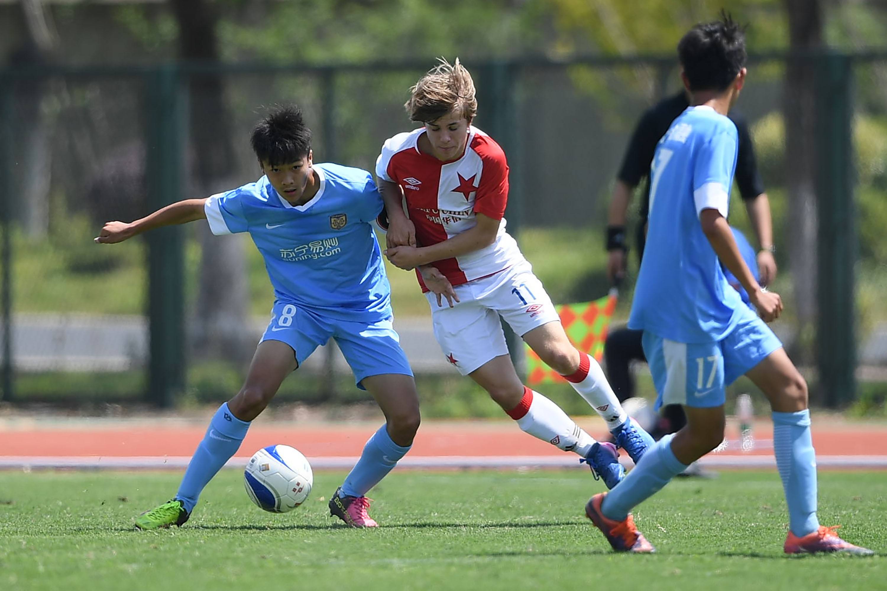 合数据图表 合数据图表